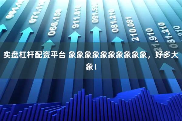 实盘杠杆配资平台 象象象象象象象象象象，好多大象！